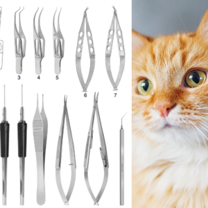 Dụng cụ phẫu thuật thú y